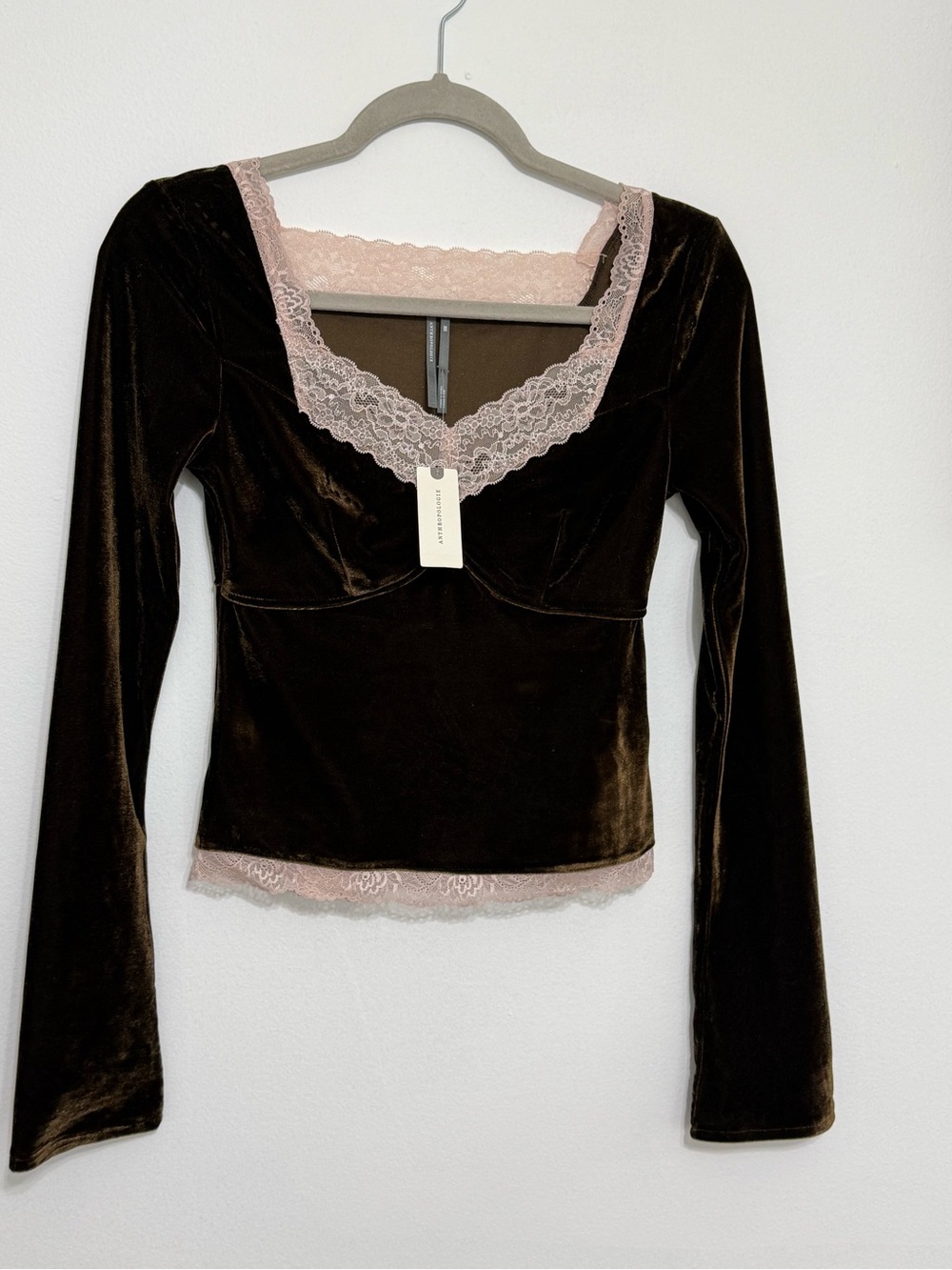 Anthropologie Brown Velvet Top with Blush Lace Trim